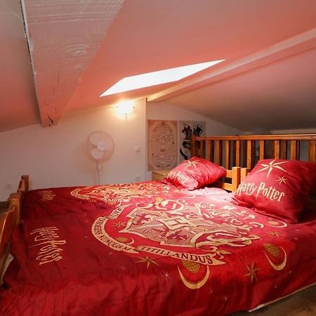 Ferienwohnung Harry Potter - Le Logis Du Petit Sorcier - Clim Carcassonne Exterior foto